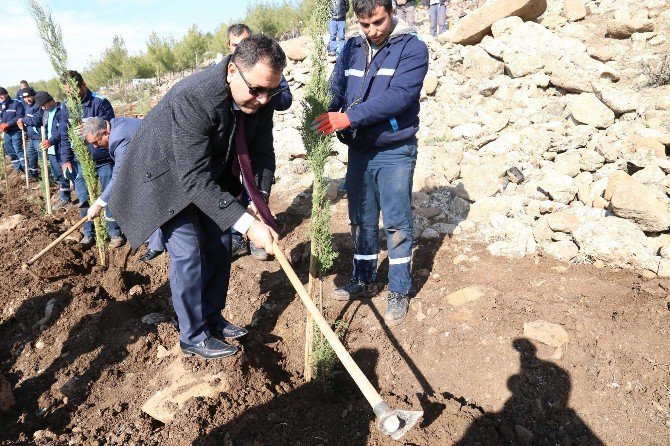 15 Temmuz Kahramanlar Ormanına Fidan Dikildi