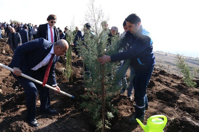 15 Temmuz Kahramanlar Ormanına Fidan Dikildi