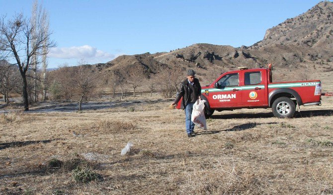 Osmancık’ta Kuşlar İçin Yem Bırakıldı