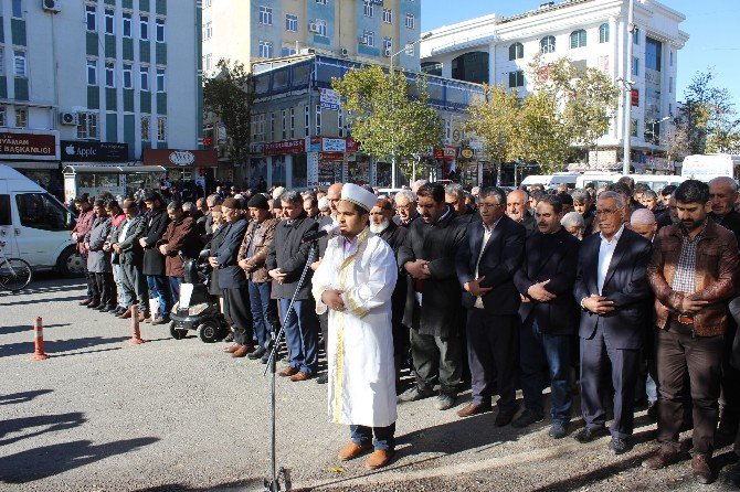 Halep’te Ölenler İçin Gıyabi Cenaze Namazı Kılındı