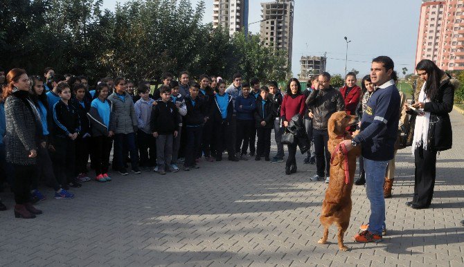 Çöplükte Geri Dönüşüm Dersi