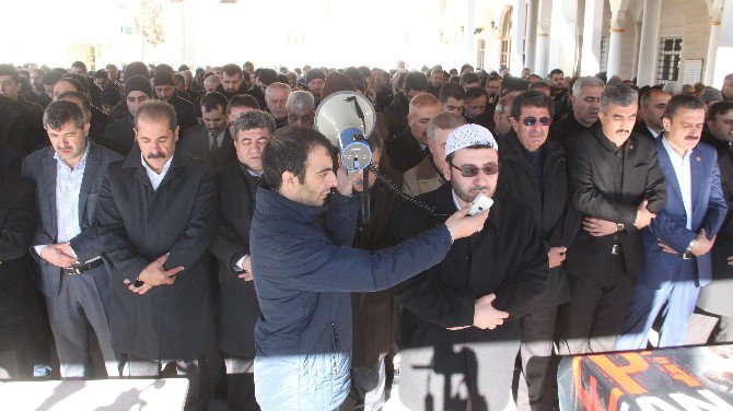 Elazığ’da Halep İçin Gıyabi Cenaze Namazı Kılındı