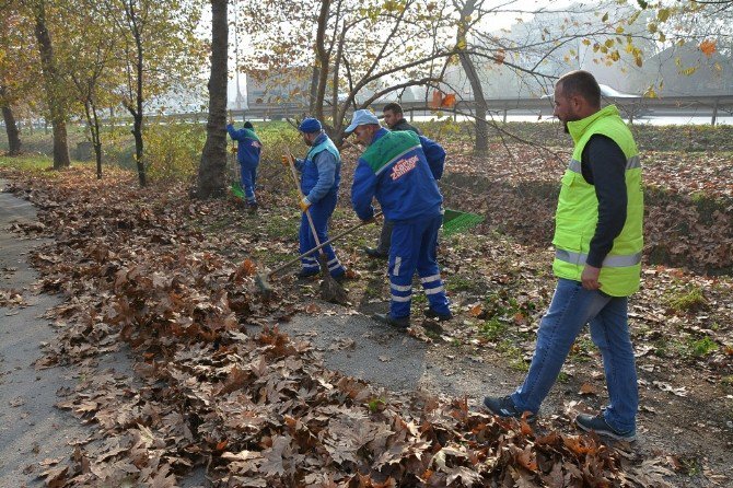 Kartepe’de Yaprak Temizliği