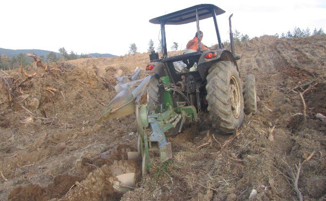 Kastamonu’da Orman Gençleştirme Çalışmaları Sürüyor