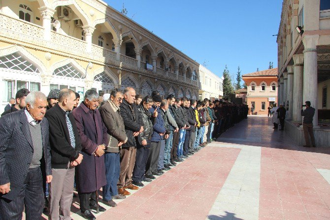 Halep’te Ölen Suriyeliler İçin Gıyabi Cenaze Namazı Kılındı