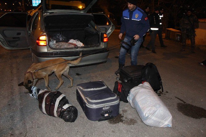 Amasya’da 260 Polisle Huzur Operasyonu