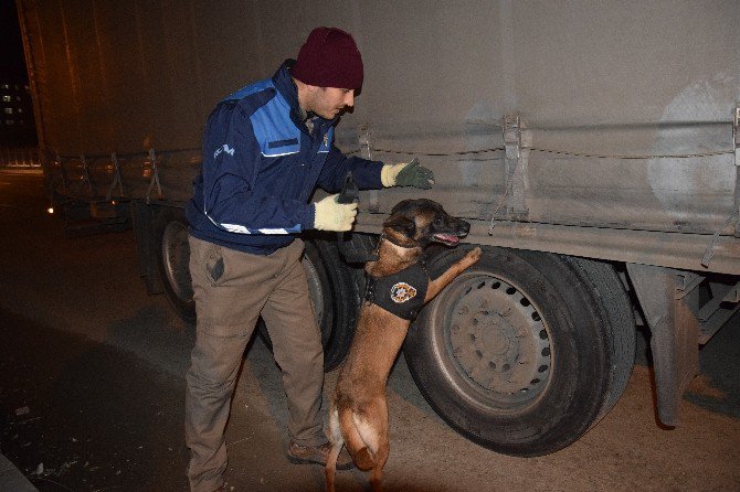 Giresun’da 600 Polis İle ‘Huzur’ Uygulaması