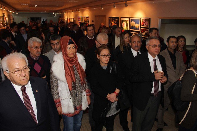 “Çiçek Kent Adana”nın Fotoğrafları Sanatseverlerle Buluştu