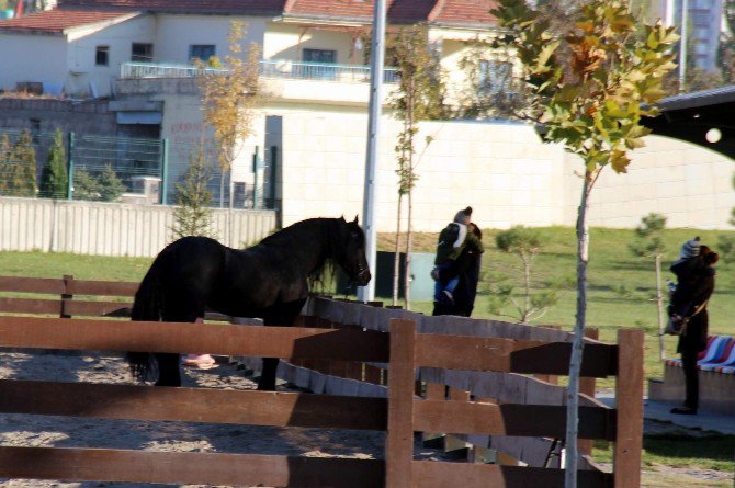 Hayvanat Bahçesi 283 Bin Kişiyi Misafir Etti