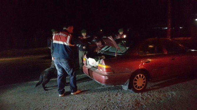 Kuşadası’nda Huzur Operasyonunda Çeşitli Suçlardan Aranan 6 Kişi Gözaltına Alındı