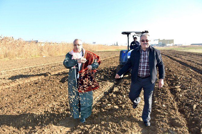 Yerli Tohumdan Ekmek Üretilecek