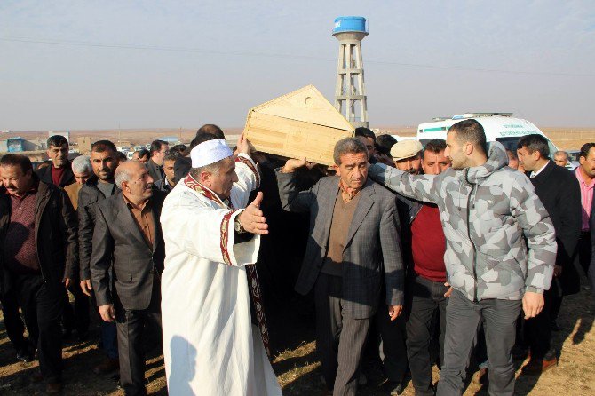 Şehit Minibüs Şoförü Diyarbakır’da Toprağa Verildi