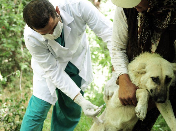 Sağlık İşleri Müdürlüğü 2016 Mesaisi