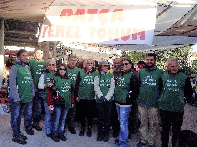 Datça Yerel Tohumculuğa Dönüyor
