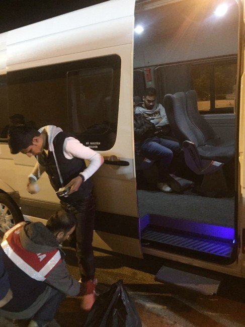 Şırnak’ta 9 Kaçak Göçmen Yakalandı