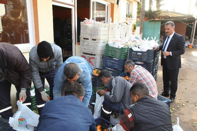 Toroslar Belediyesi, Okullara 7 Ton Mandalina Dağıttı