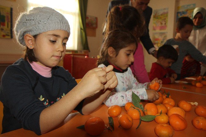 Toroslar Belediyesi, Okullara 7 Ton Mandalina Dağıttı