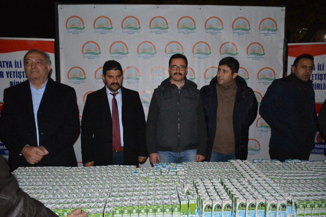 Mevlid Kandilinde Süt Dağıtıldı