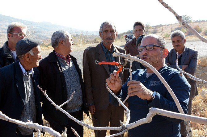 Çiftçiler Antep Fıstığı Üretiminde Bilinçleniyor