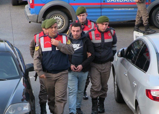 Dağda Çatışmış, Bodrum’da Çalışmış