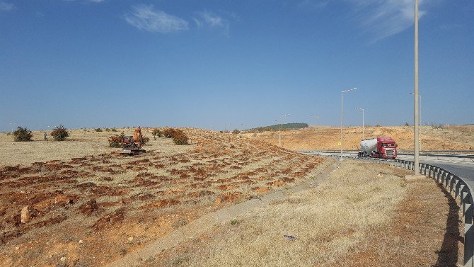 Gaziantep-nizip-nurdağı Otobanı Yeşile Bürünüyor