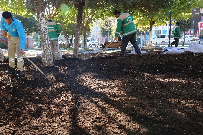 Haliliye’de Parklarda Hummalı Çalışma