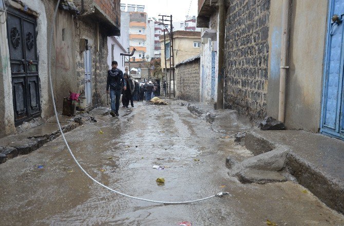 Üzerine Elektrik Teli Düşen 2 Koyun Telef Oldu