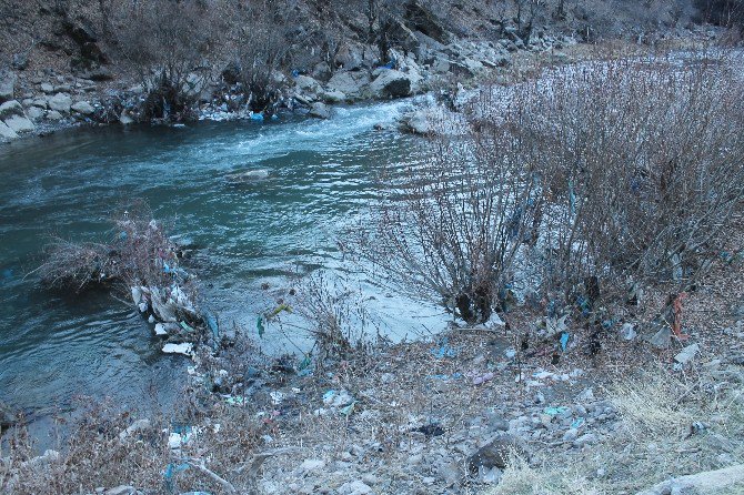 Habur Çayı’nda Endişe Verici Kirlilik