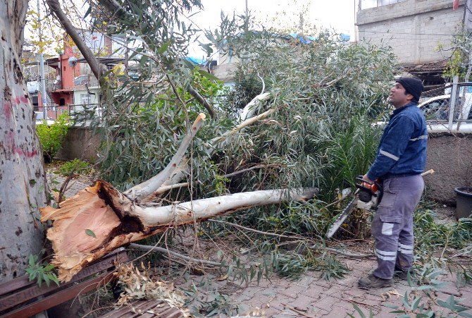 Adana’da Şiddetli Rüzgar Hayatı Olumsuz Etkiledi