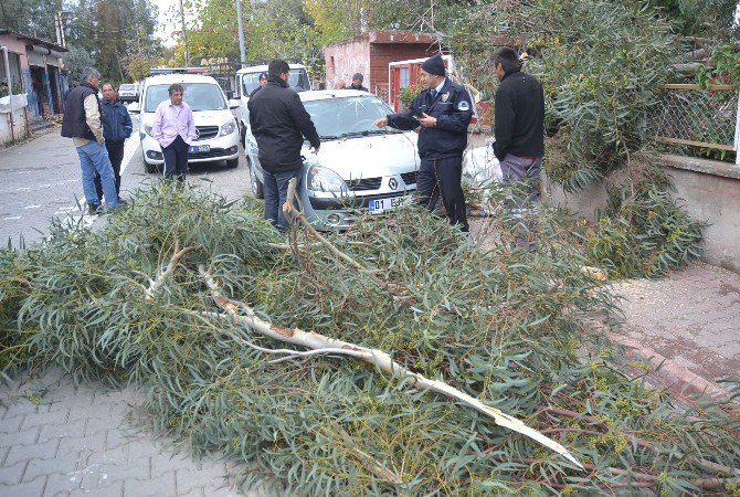 Adana’da Şiddetli Rüzgar Hayatı Olumsuz Etkiledi