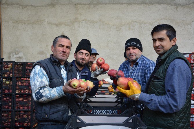 Elma’da Hareket Başladı