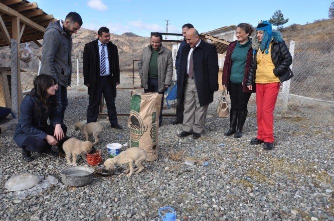 Bayat Belediyesi Sokak Hayvanlarına Sahip Çıkıyor