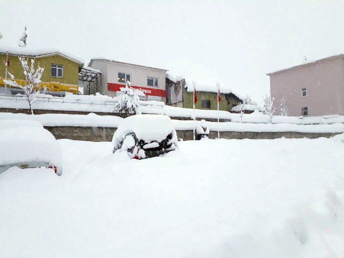 Bingöl’de Hayat Durdu