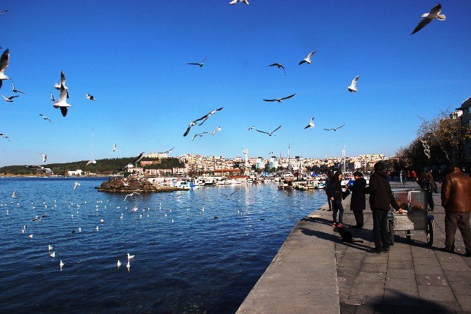 Çanakkale’de Kar Yok, Güneş Var