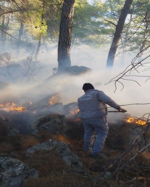 Ormanlık Alandaki Yangına Belediye Personeli Müdahale Etti