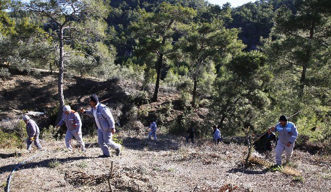 Ormanlık Alandaki Yangına Belediye Personeli Müdahale Etti