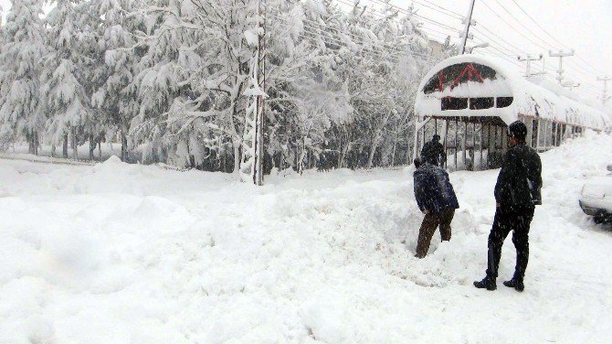 Bitlis’te 235 Köy Yolu Ulaşıma Kapandı