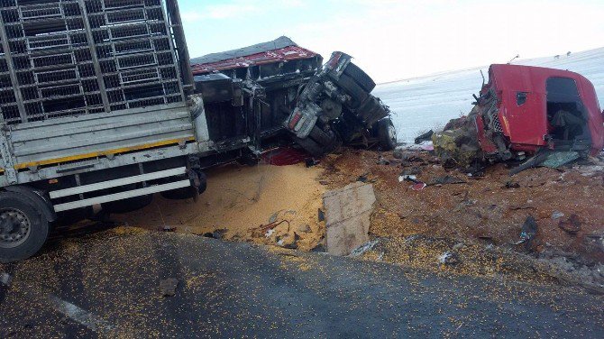 Konya’da İki Tır Çarpıştı: 1 Ölü, 1 Yaralı