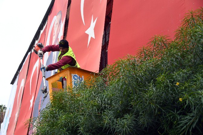 Büyükşehir Belediyesi, Ağaçlara Kış Bakımı Yaptı