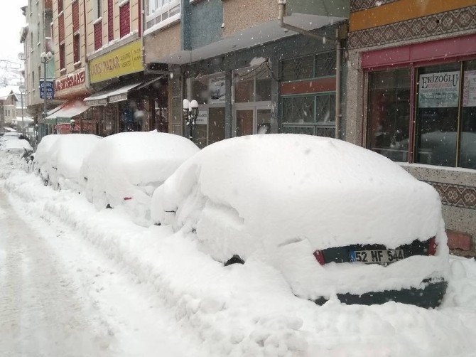 Ordu’da Kar Yağışı Etkili Oldu