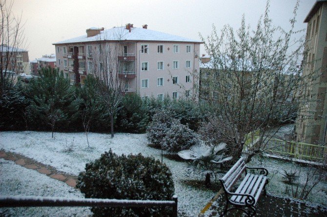 Sakarya’ya Yılın İlk Karı Düştü