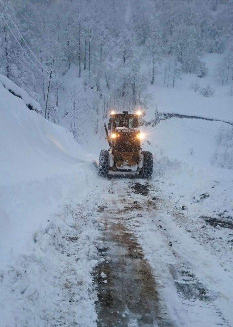 Doğu Karadeniz’de Soğuk Hava Yaşamı Olumsuz Etkilemeye Devam Ediyor