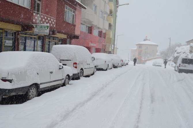 Adilcevaz’da Okullar Tatil Edildi