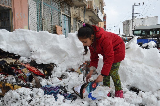 Evleri İkinci Kez Yanan Aile Yardım Bekliyor