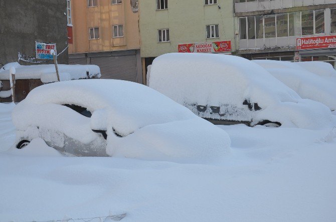 Yüksekova Kara Teslim Oldu