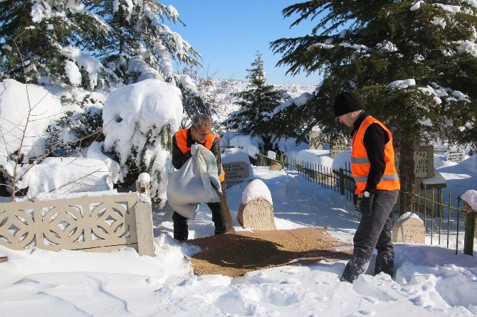 Elazığ’da Kuşlar İçin Doğaya Yem Bırakıldı