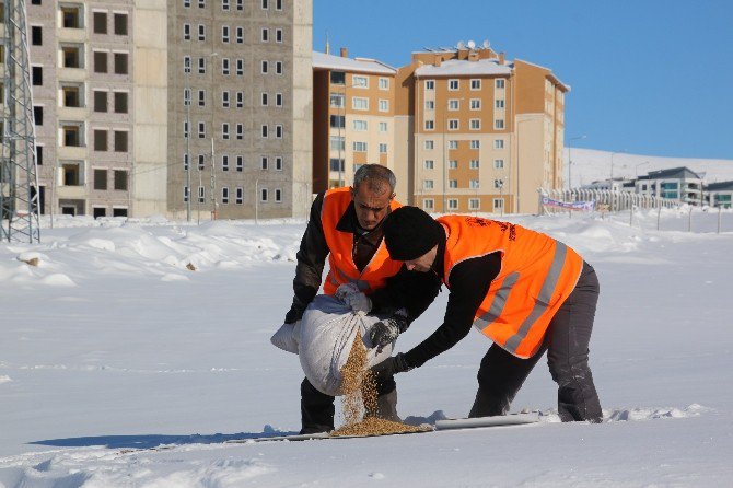 Elazığ’da Kuşlar İçin Doğaya Yem Bırakıldı