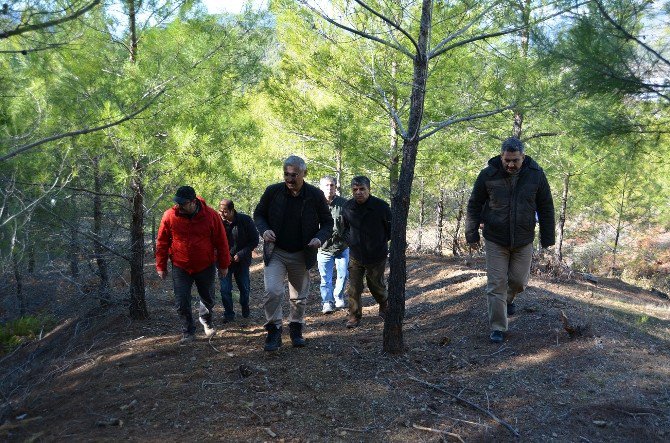 Bölge Müdürü Yılmaz, Bozyazı Orman Arazilerini İnceledi