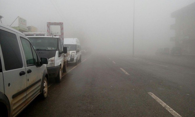 İdil’de Yoğun Sis Hayatı Olumsuz Etkiledi