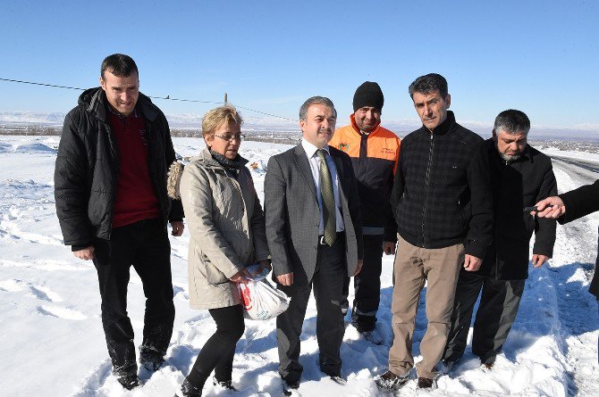 Sokak Hayvanları İçin Doğaya Yem Bırakıldı